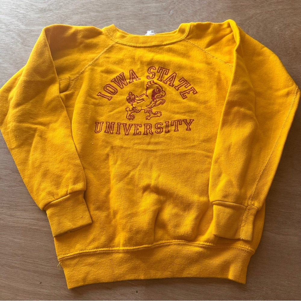 Vintage 1980s Youth Kids Iowa State University Sweatshirt Medium 8 10 Retro
